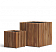 TREEZ Effectory Timberline